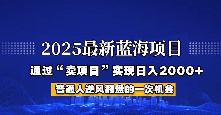 2025年蓝海项目，如何通过“网创项目”日入2000+-117资源网