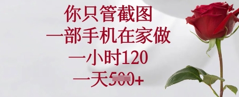 你只管截图，一部手机在家做，一小时120.一天5张【揭秘】-117资源网