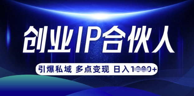 云帆·创业ip合伙人打造3.0，从0到1教你做网创，实现月入过W-117资源网