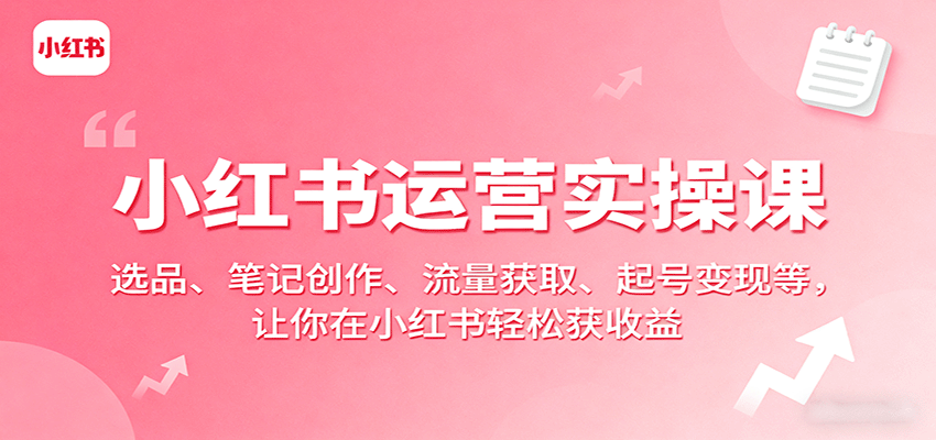 小红书运营实操课：选品、笔记创作、流量获取、起号变现等，让你在小红书轻松获收益-117资源网