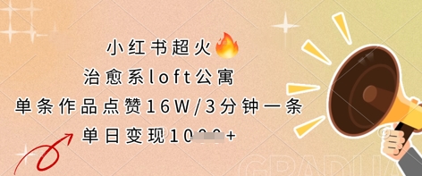小红书超火的治愈系loft公寓，单条作品点赞16W，3分钟一条，单日变现数张-117资源网