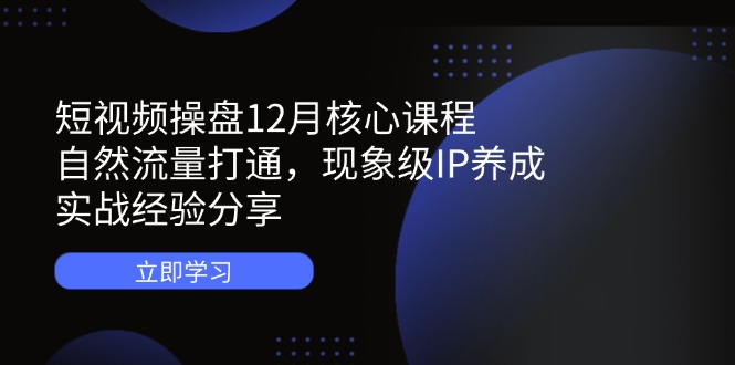 短视频操盘12月核心课程：自然流量打通，现象级IP养成，实战经验分享-117资源网