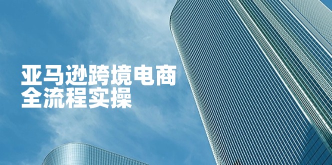 亚马逊跨境电商全流程实操，教你从零开始，掌握店铺运营与广告技巧-117资源网