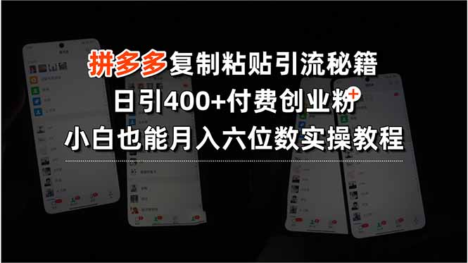 拼多多复制粘贴引流秘籍，日引400+付费创业粉，小白也能月入六位数实操…-117资源网