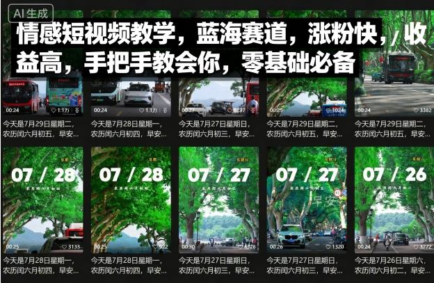 情感短视频教学,蓝海赛道,涨粉快,收益高,手把手教会你,零基础必备-117资源网