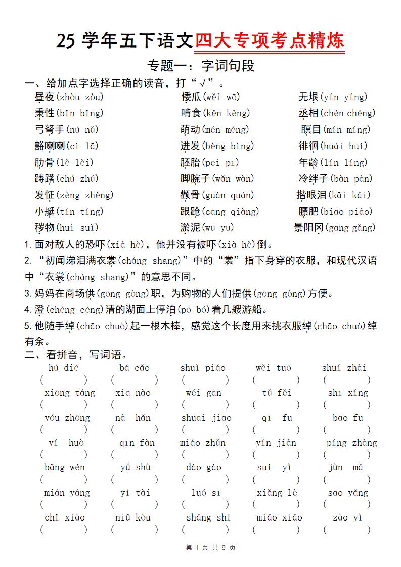 25学年五下语文四大专项考点精炼（专题一：字词句段）-117资源网