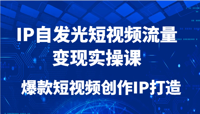 IP自发光短视频流量变现实操课，爆款短视频创作IP打造-117资源网