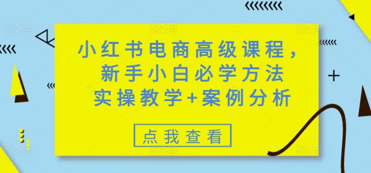 小红书电商高级课程，新手小白必学方法，实操教学+案例分析-117资源网