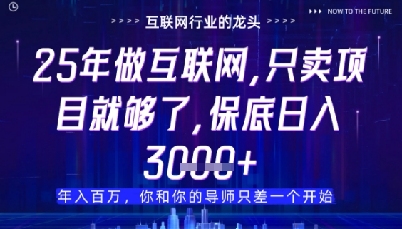 什么！25年你还在找项目做？风口早就变了，卖项目才是稳挣不赔【揭秘】-117资源网