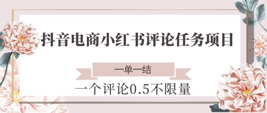 抖音电商小红书评论任务项目，一个评论0.5，一单一结 不限量-117资源网