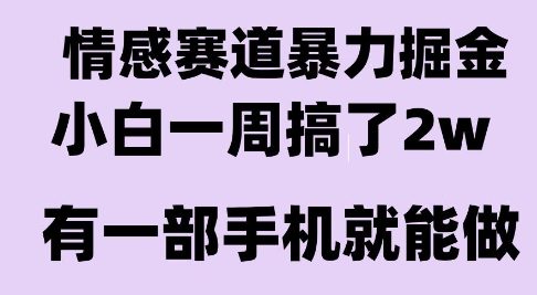 情感暴力掘金项目，新人操作一周挣了2W，长期稳定小白可做【揭秘】-117资源网