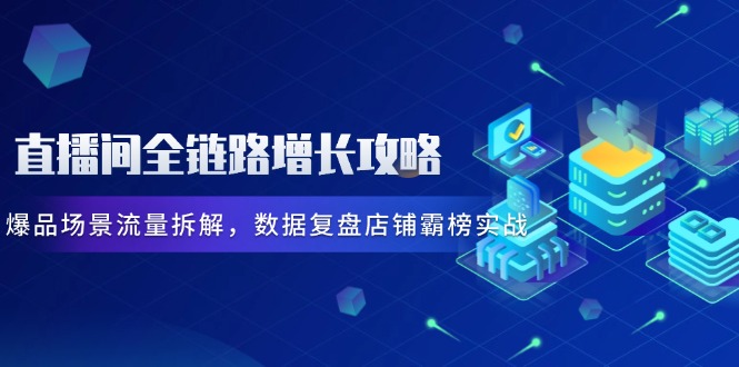 直播间全链路增长攻略，爆品场景流量拆解，数据复盘店铺霸榜实战-117资源网
