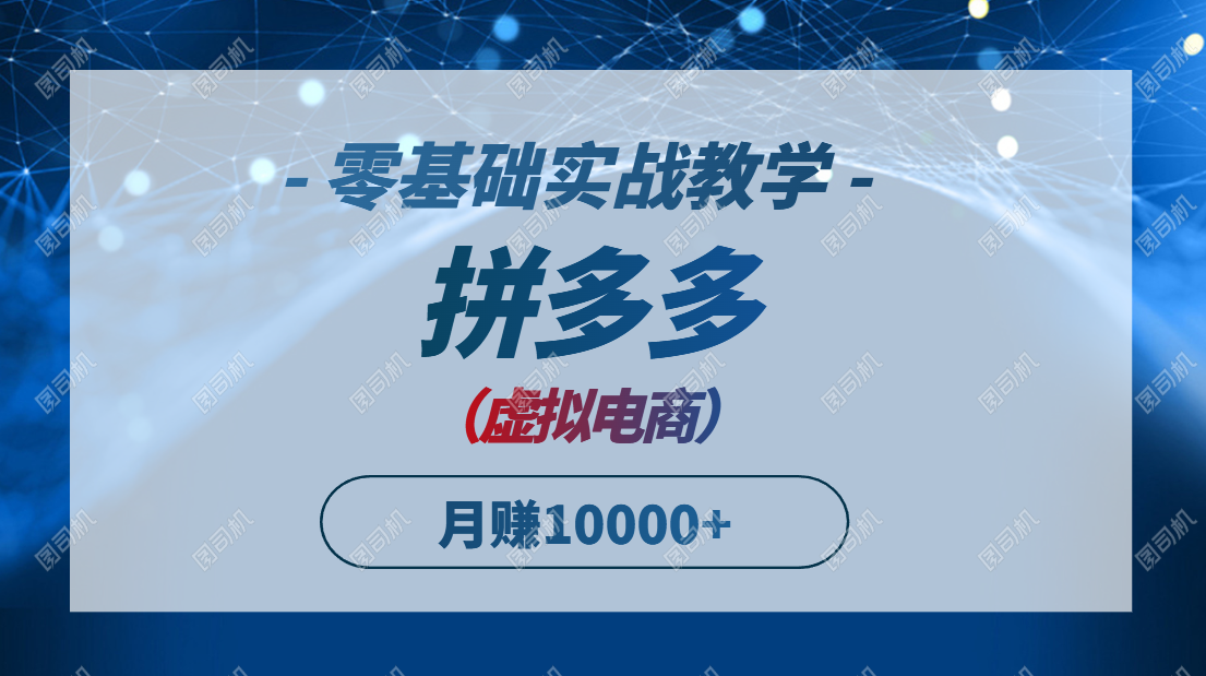 拼多多虚拟电商，零基础实战教学，快速打爆商品，新手也能月入10000+-117资源网