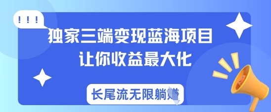 独家三端变现蓝海项目，让你收益最大化，长尾流无限躺挣-117资源网