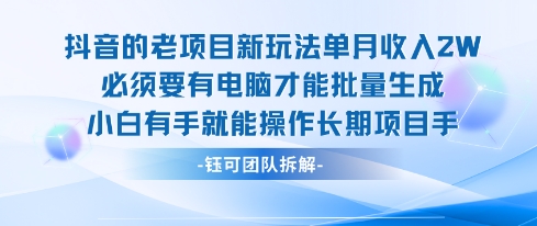 老项目新玩法单月收入2W小白有手就能操作长期项目-117资源网