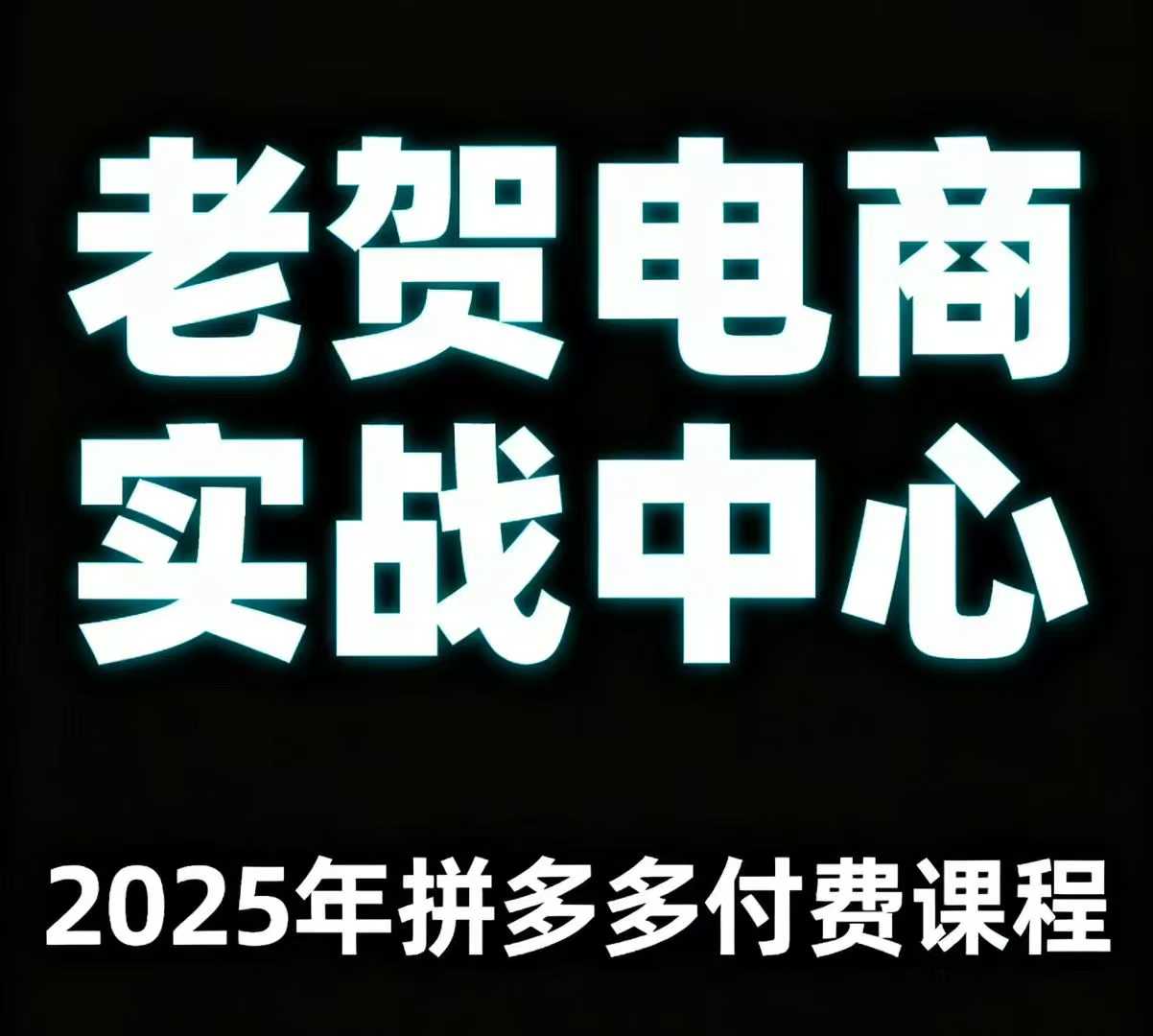 老贺电商2025年拼多多付费课程，用通俗易懂的方法告诉你多多怎么玩-117资源网