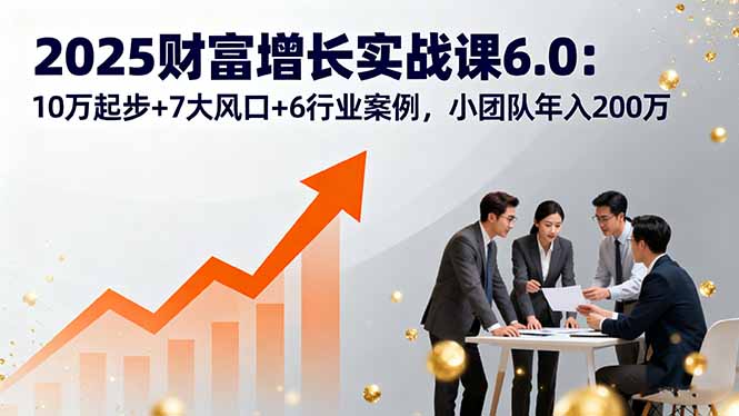 2025财富增长实战课6.0：10万起步+7大风口+6行业案例，小团队年入200万-117资源网