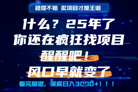 什么？25年你还在疯狂找项目做，醒醒吧，看完这些你全都懂了！【揭秘】-117资源网