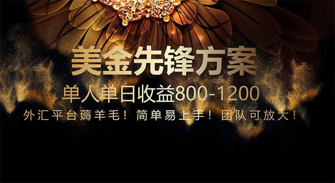 免费技术！小众赛道！一年布局抵三年努力，每日800+-117资源网