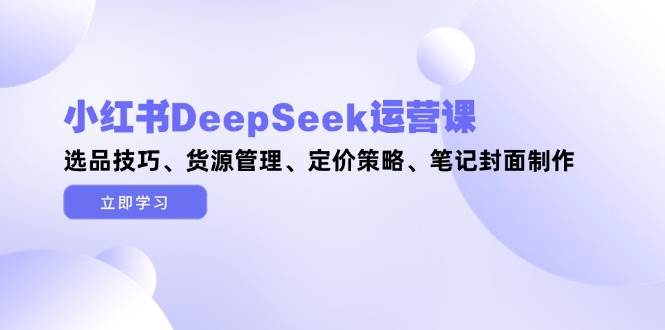 小红书DeepSeek运营课，选品技巧、货源管理、定价策略、笔记封面制作-117资源网