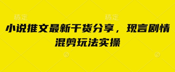 小说推文最新干货分享，现言剧情混剪玩法实操-117资源网