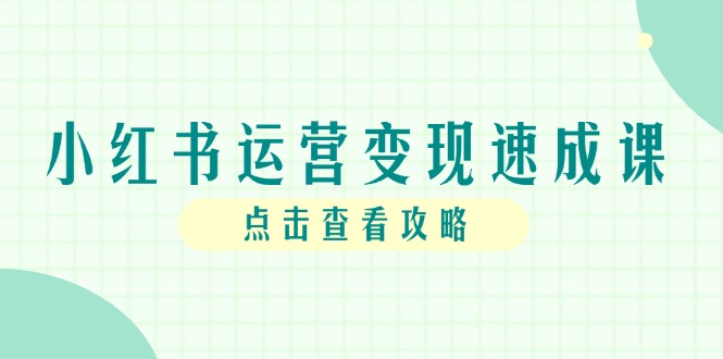 小红书运营变现速成课，账号搭建到暴力起号，个人IP全流程指南-117资源网