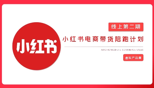 2025小红书虚拟电商实战课，从0到1打造无货源店铺，AI+爆款笔记轻松变现-117资源网