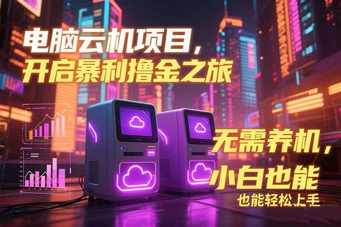 电脑云机项目 暴力撸金玩法，不需要养机 配置没有要求 单机100个窗口一…-117资源网