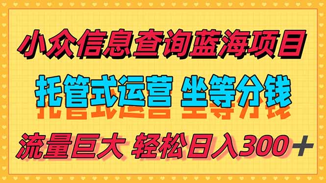 稳定日入300＋，小众信息查询蓝海项目，全程懒人式托管，解放你的时间-117资源网