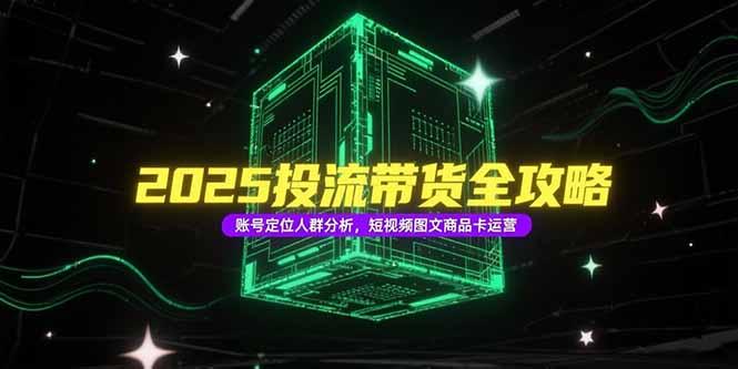 2025投流带货全攻略，账号定位人群分析，短视频图文商品卡运营-117资源网
