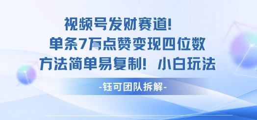 视频号发财赛道单条7W点赞变现四位数方法简单易复制小白玩法-117资源网