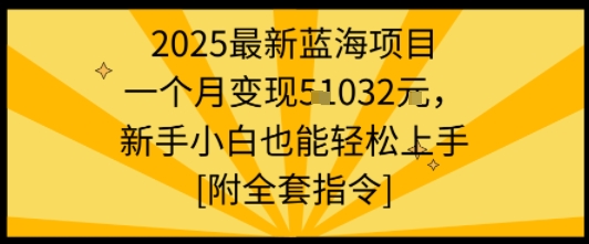 2025最新蓝海项目一个月变现1w+新手小白也能轻松上手【附全套指令】-117资源网