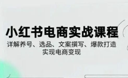 小红书从0-1实操课(2023-2025)，详解养号、选品、文案撰写、爆款打造实现电商变现-117资源网