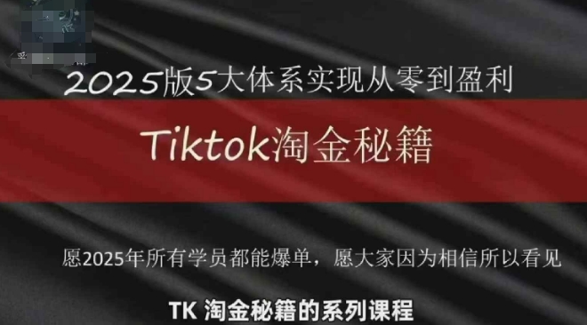 TikTok跨境2025淘金秘籍，​2025TikTok从0到盈利变现-117资源网