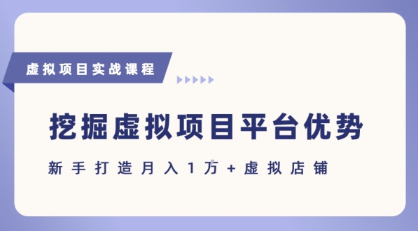 抓住虚拟项目各平台优势，新手轻松月入1W+(给出具体建议)-117资源网