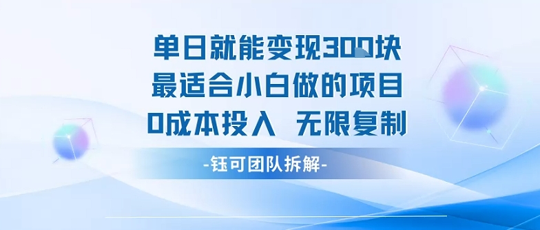 单日就能变现3张最适合小白做的项目0成本投入 无限复制-117资源网