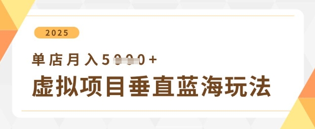 虚拟项目垂直玩法，实现单店月入5k+-117资源网