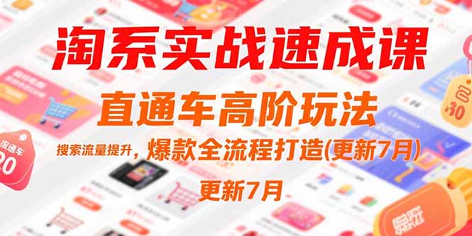 淘系实战速成课，直通车高阶玩法，搜索流量提升，爆款全流程打造(更新7月-117资源网