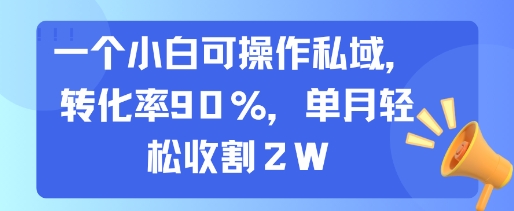一个小白可操作私域，转化率90%，单月轻松收割2W-117资源网