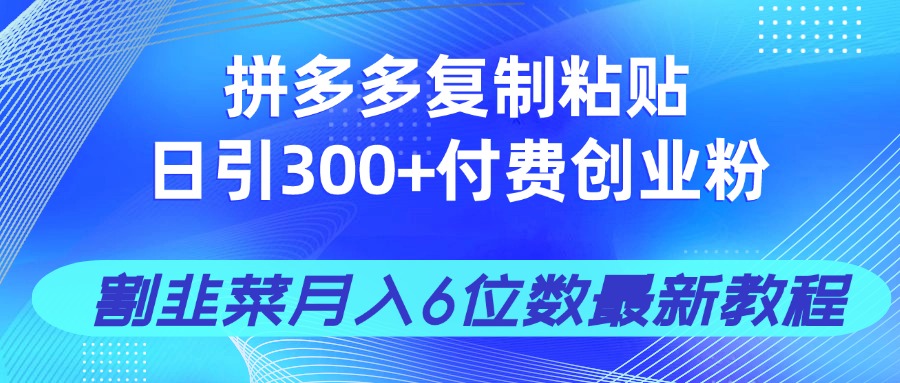 拼多多复制粘贴日引300+付费创业粉，割韭菜月入6位数最新教程！-117资源网