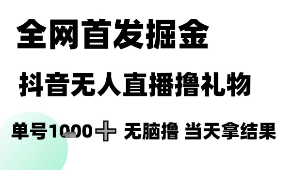 全网首发掘金抖音无人直播撸礼物，单号1k +无脑撸，当天拿结果【揭秘】-117资源网