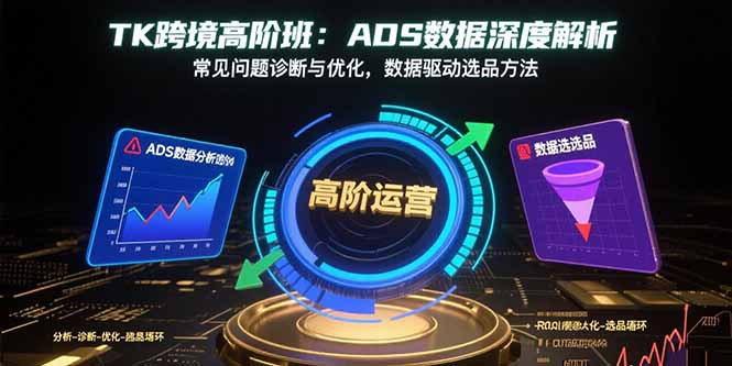 TK跨境高阶班：ADS数据深度解析，常见问题诊断与优化，数据驱动选品方法-117资源网