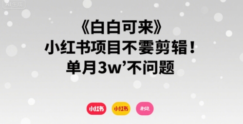 小白可来 小红书项目不需要剪辑 单月3w不是问题-117资源网