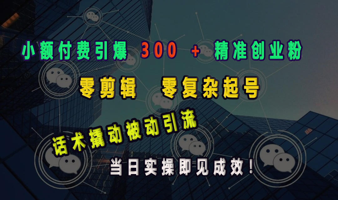 小额付费引爆 300 + 精准创业粉,零剪辑、零复杂起号,话术撬动被动引流,当日实操即见成效!-117资源网