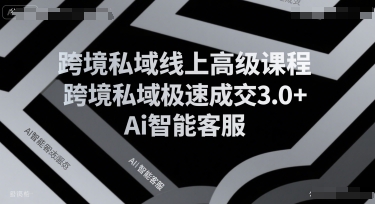 跨境私域线上高级课程，跨境私域极速成交3.0+Ai智能客服-117资源网