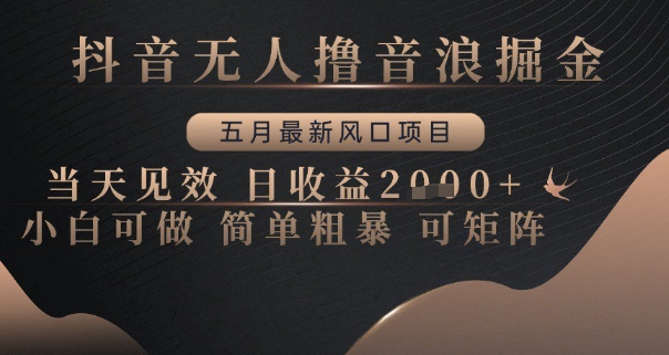 抖音无人撸音浪掘金，五月最新风口项目，当天见效，日收益多张，小白可做简单粗暴可矩阵【揭秘】-117资源网