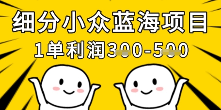 细分小众蓝海项目，一单利润3张，每月收入稳定过1w+-117资源网