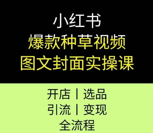 小红书爆款种草视频图文封面实操课，开店、选品、引流、变现全流程-117资源网