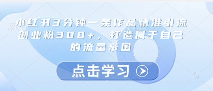 小红书3分钟一条作品精准引流创业粉300+，打造属于自己的流量帝国-117资源网