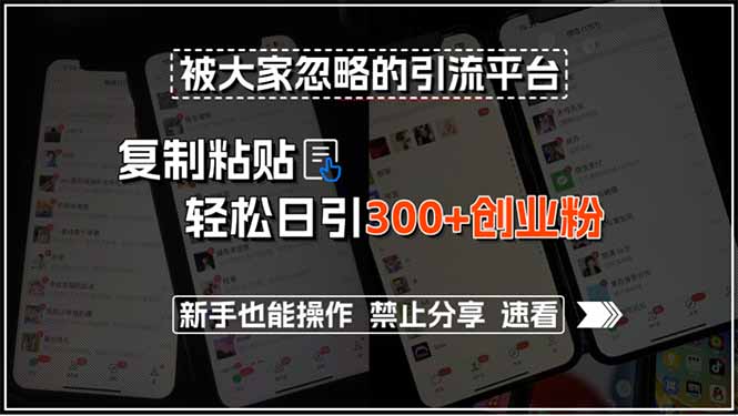 被大家忽略的引流平台，复制粘贴轻松日引300+创业粉，新手也能操作，禁…-117资源网